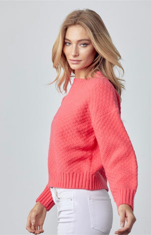 Seed Knit Cropped Sweater in Teaberry